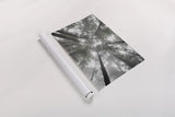 Fir Trees I Bright by Alan Majchrowicz. shown as a rolled paper print. Available as archival giclee rolled canvas, fine art paper, or poster print. SKU 30783h.