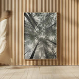 Fir Trees I Bright by Alan Majchrowicz. shown as over sized large wall art. Available as an archival giclee rolled canvas, fine art paper, or poster print. SKU 30783h.