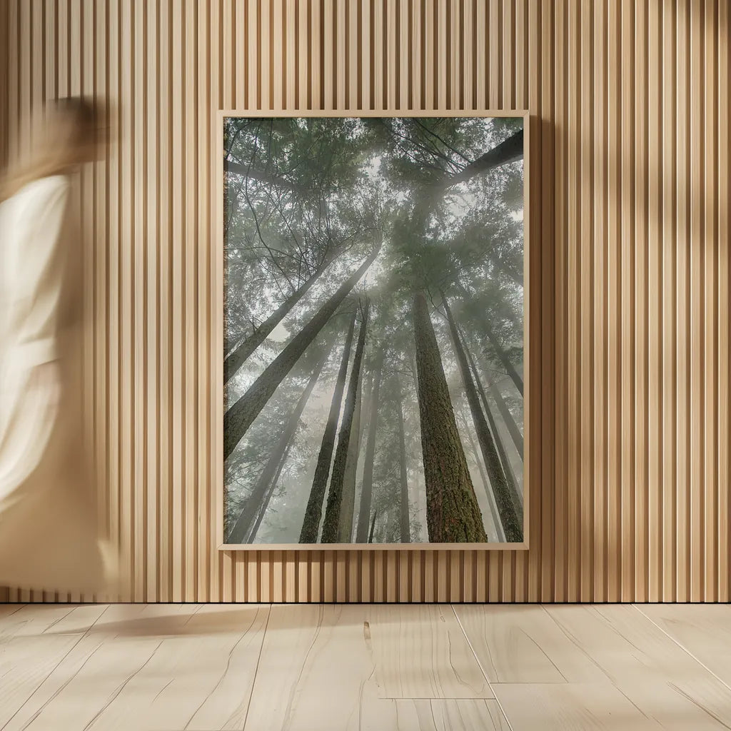 Fir Trees II by Alan Majchrowicz. shown as over sized large wall art. Available as an archival giclee rolled canvas, fine art paper, or poster print. SKU 30203h.