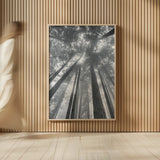 Fir Trees II BW by Alan Majchrowicz. shown as over sized large wall art. Available as an archival giclee rolled canvas, fine art paper, or poster print. SKU 30782h.