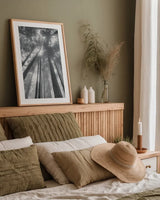 Fir Trees II BW by Alan Majchrowicz. shown as a paper print in a natural frame. Available as a archival giclee rolled canvas, fine art paper, or poster print. SKU 30782h.