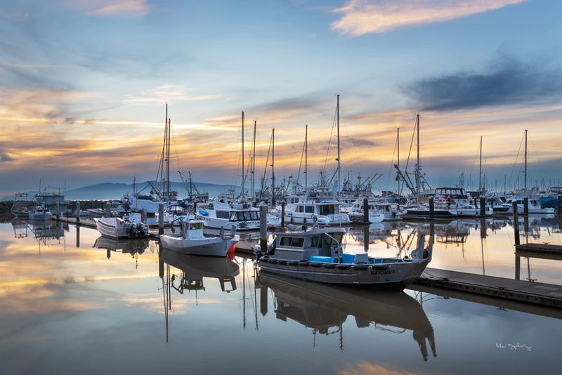 Fishing Boats Bellingham Washington by Alan Majchrowicz