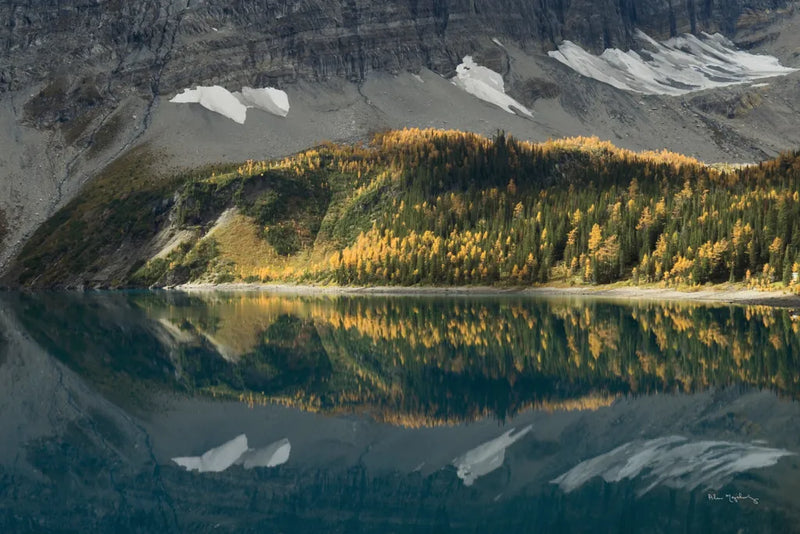 Floe Lake by Alan Majchrowicz. SKU 28093i. Archival Giclee Fine art print for wall decor.