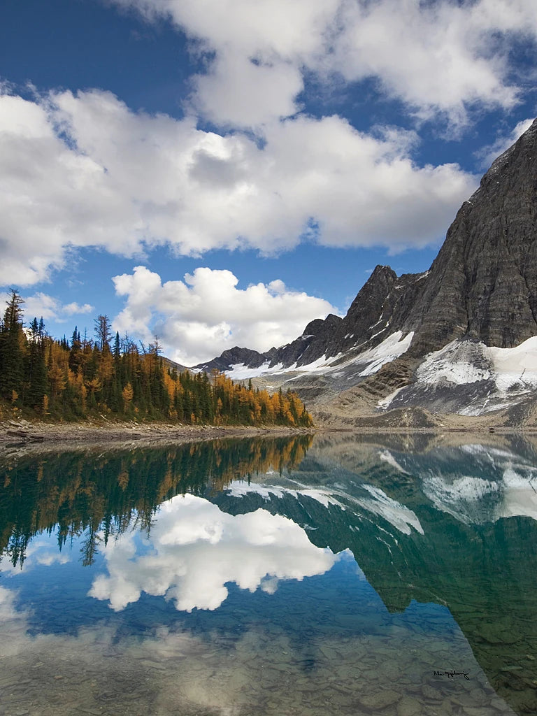 Floe Lake Reflection I by Alan Majchrowicz