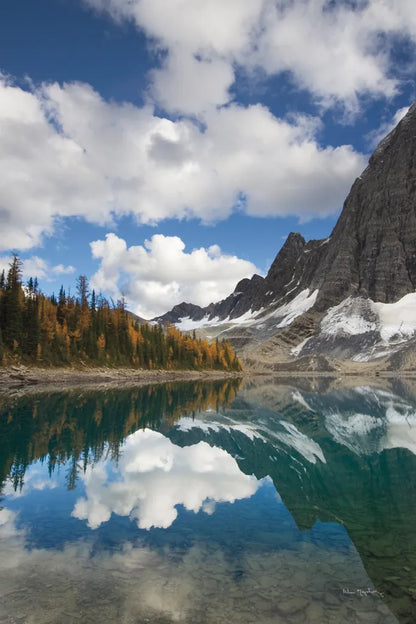 Floe Lake Reflection I by Alan Majchrowicz. SKU 28098h. Archival Giclee Fine art print for wall decor.