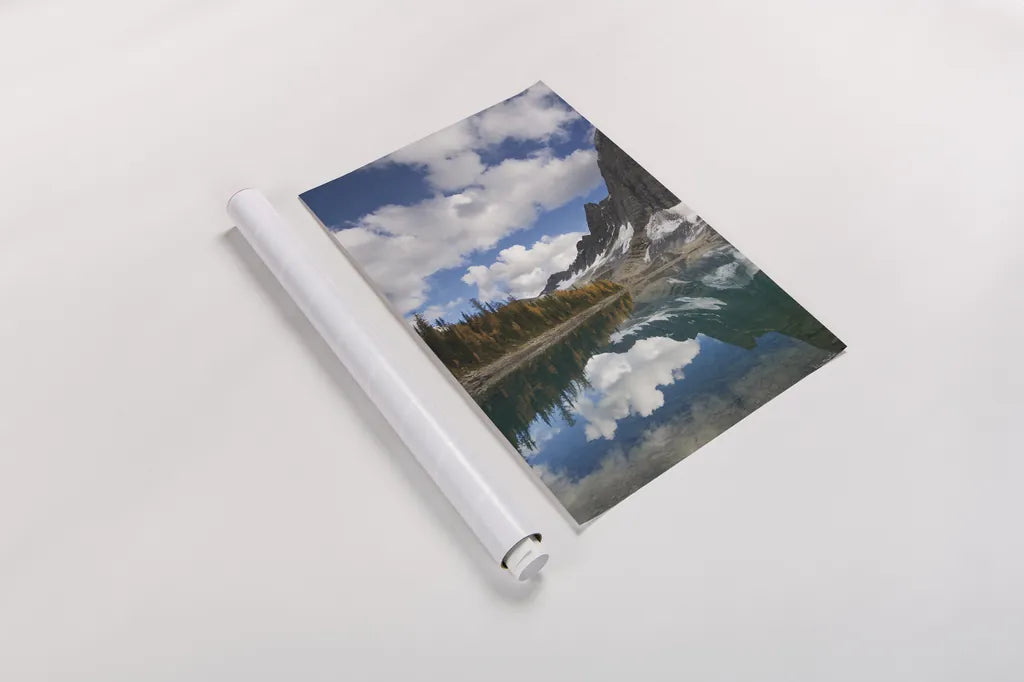 Floe Lake Reflection I by Alan Majchrowicz. shown as a rolled paper print. Available as archival giclee rolled canvas, fine art paper, or poster print. SKU 28098h.