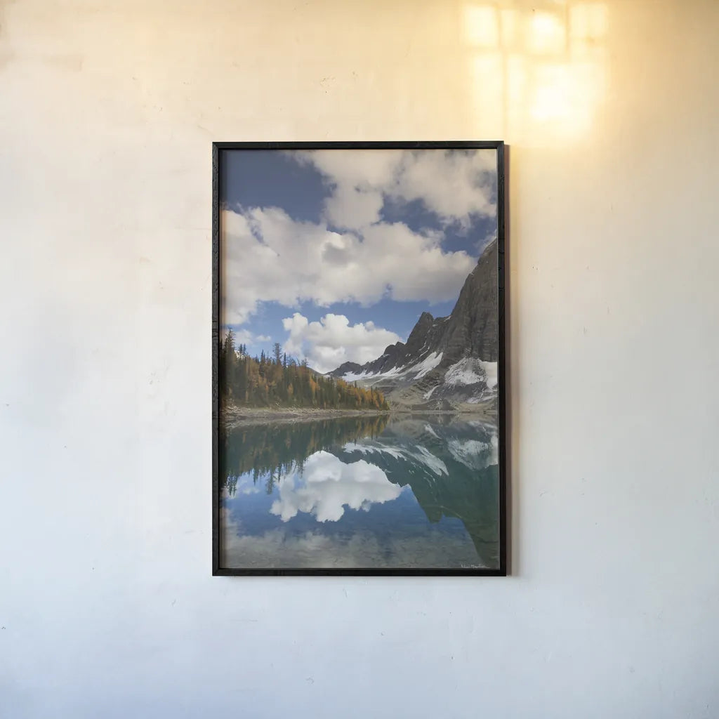 Floe Lake Reflection I by Alan Majchrowicz. shown as a paper print in a black flame. Available as a archival giclee rolled canvas, fine art paper, or poster print. SKU 28098h.