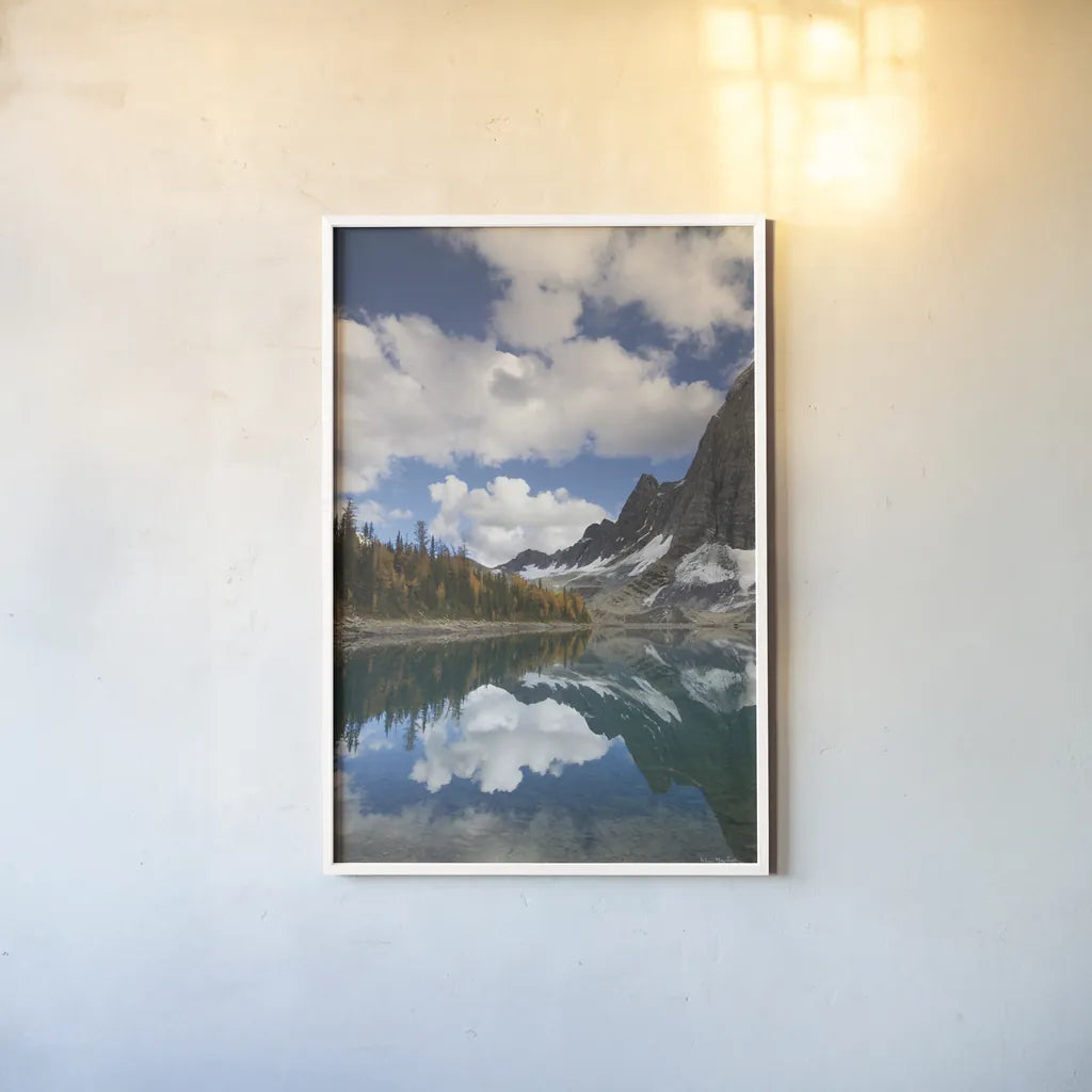 Floe Lake Reflection I by Alan Majchrowicz. shown as a paper print in a white frame. Available as a archival giclee rolled canvas, fine art paper, or poster print. SKU 28098h.