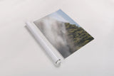 Fog and Forest I by Alan Majchrowicz. shown as a rolled paper print. Available as archival giclee rolled canvas, fine art paper, or poster print. SKU 77234i.