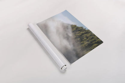 Fog and Forest I by Alan Majchrowicz. shown as a rolled paper print. Available as archival giclee rolled canvas, fine art paper, or poster print. SKU 77234i.