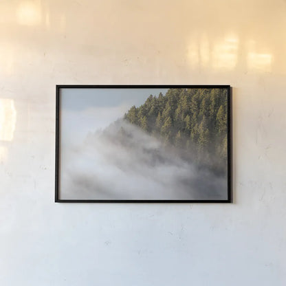 Fog and Forest I by Alan Majchrowicz. shown as a paper print in a black flame. Available as a archival giclee rolled canvas, fine art paper, or poster print. SKU 77234i.