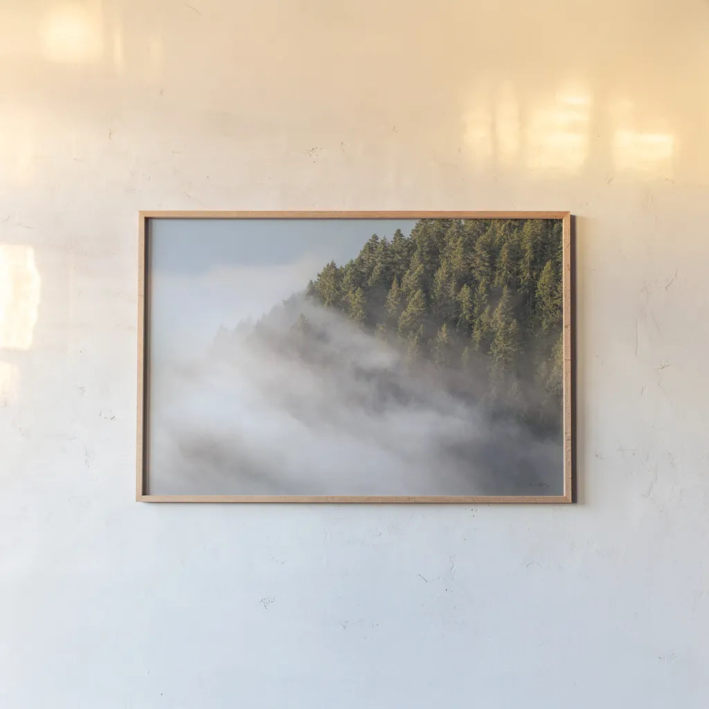 Fog and Forest I by Alan Majchrowicz. shown as a paper print in a natural frame. Available as a archival giclee rolled canvas, fine art paper, or poster print. SKU 77234i.