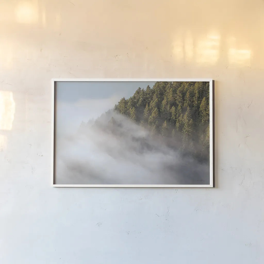 Fog and Forest I by Alan Majchrowicz. shown as a paper print in a white frame. Available as a archival giclee rolled canvas, fine art paper, or poster print. SKU 77234i.
