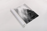 Fog and Forest I BW by Alan Majchrowicz. shown as a rolled paper print. Available as archival giclee rolled canvas, fine art paper, or poster print. SKU 85461i.