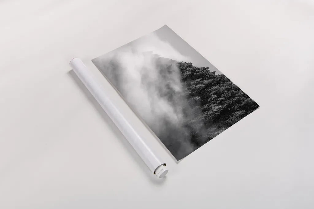 Fog and Forest I BW by Alan Majchrowicz. shown as a rolled paper print. Available as archival giclee rolled canvas, fine art paper, or poster print. SKU 85461i.