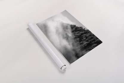 Fog and Forest I BW by Alan Majchrowicz. shown as a rolled paper print. Available as archival giclee rolled canvas, fine art paper, or poster print. SKU 85461i.