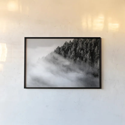 Fog and Forest I BW by Alan Majchrowicz. shown as a paper print in a black flame. Available as a archival giclee rolled canvas, fine art paper, or poster print. SKU 85461i.