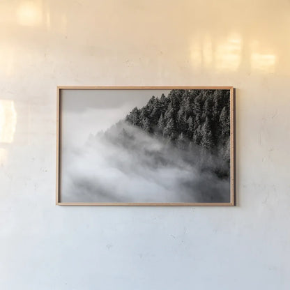 Fog and Forest I BW by Alan Majchrowicz. shown as a paper print in a natural frame. Available as a archival giclee rolled canvas, fine art paper, or poster print. SKU 85461i.