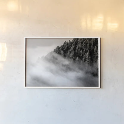Fog and Forest I BW by Alan Majchrowicz. shown as a paper print in a white frame. Available as a archival giclee rolled canvas, fine art paper, or poster print. SKU 85461i.