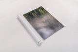 Fog and Forest II by Alan Majchrowicz. shown as a rolled paper print. Available as archival giclee rolled canvas, fine art paper, or poster print. SKU 77235h.