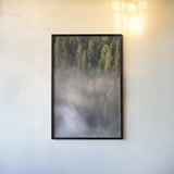Fog and Forest II by Alan Majchrowicz. shown as a paper print in a black flame. Available as a archival giclee rolled canvas, fine art paper, or poster print. SKU 77235h.