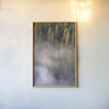 Fog and Forest II by Alan Majchrowicz. shown as a paper print in a natural frame. Available as a archival giclee rolled canvas, fine art paper, or poster print. SKU 77235h.