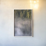 Fog and Forest II by Alan Majchrowicz. shown as a paper print in a white frame. Available as a archival giclee rolled canvas, fine art paper, or poster print. SKU 77235h.