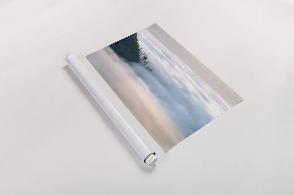 Fog and Forest III by Alan Majchrowicz. shown as a rolled paper print. Available as archival giclee rolled canvas, fine art paper, or poster print. SKU 77236i.