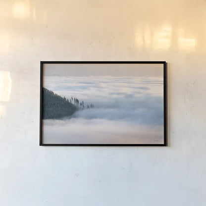 Fog and Forest III by Alan Majchrowicz. shown as a paper print in a black flame. Available as a archival giclee rolled canvas, fine art paper, or poster print. SKU 77236i.