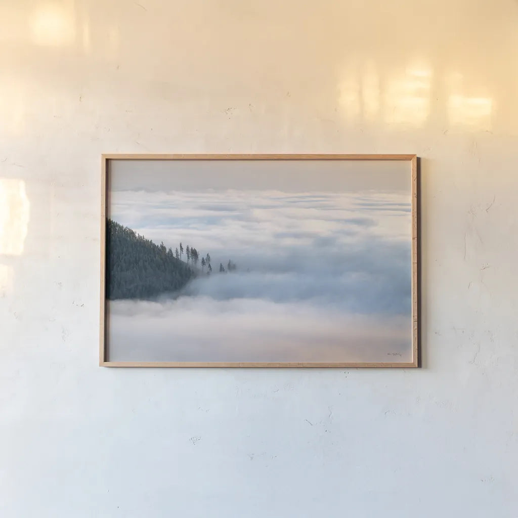 Fog and Forest III by Alan Majchrowicz. shown as a paper print in a natural frame. Available as a archival giclee rolled canvas, fine art paper, or poster print. SKU 77236i.