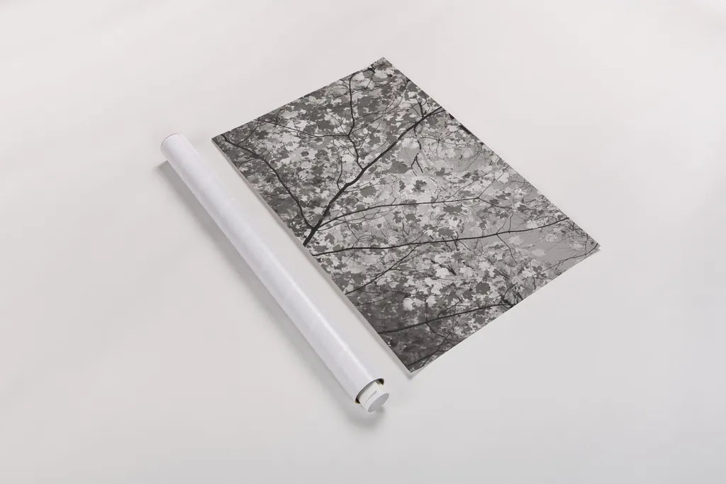 Foliage I by Alan Majchrowicz. shown as a rolled paper print. Available as archival giclee rolled canvas, fine art paper, or poster print. SKU 43770h.