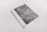 Foliage I by Alan Majchrowicz. shown as a rolled paper print. Available as archival giclee rolled canvas, fine art paper, or poster print. SKU 43770h.