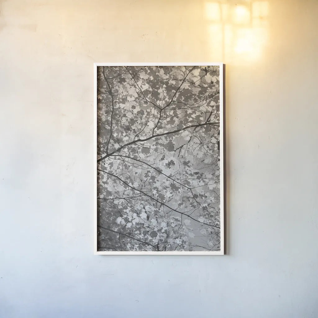 Foliage I by Alan Majchrowicz. shown as a paper print in a white frame. Available as a archival giclee rolled canvas, fine art paper, or poster print. SKU 43770h.