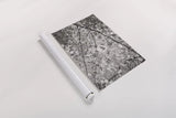 Foliage II by Alan Majchrowicz. shown as a rolled paper print. Available as archival giclee rolled canvas, fine art paper, or poster print. SKU 43769i.