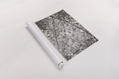 Foliage II by Alan Majchrowicz. shown as a rolled paper print. Available as archival giclee rolled canvas, fine art paper, or poster print. SKU 43769i.