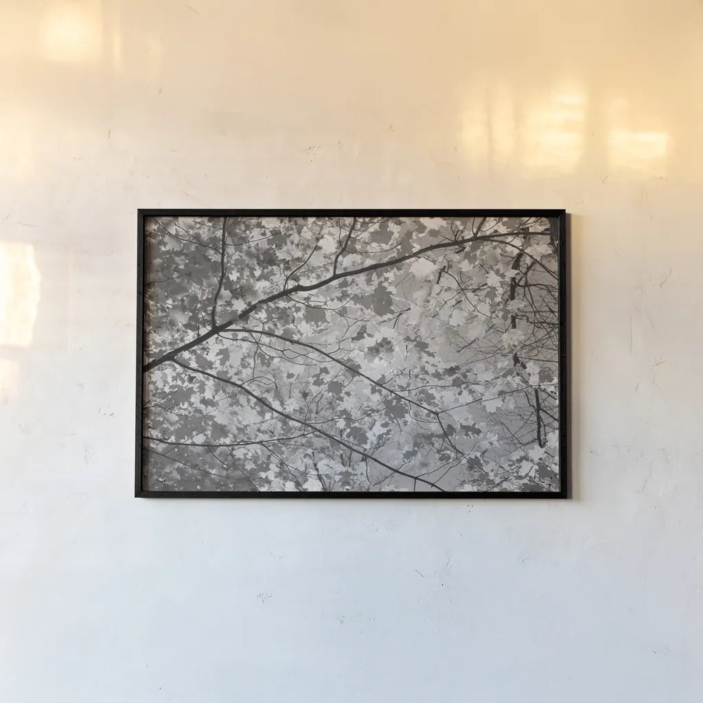 Foliage II by Alan Majchrowicz. shown as a paper print in a black flame. Available as a archival giclee rolled canvas, fine art paper, or poster print. SKU 43769i.