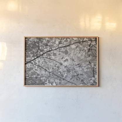 Foliage II by Alan Majchrowicz. shown as a paper print in a natural frame. Available as a archival giclee rolled canvas, fine art paper, or poster print. SKU 43769i.