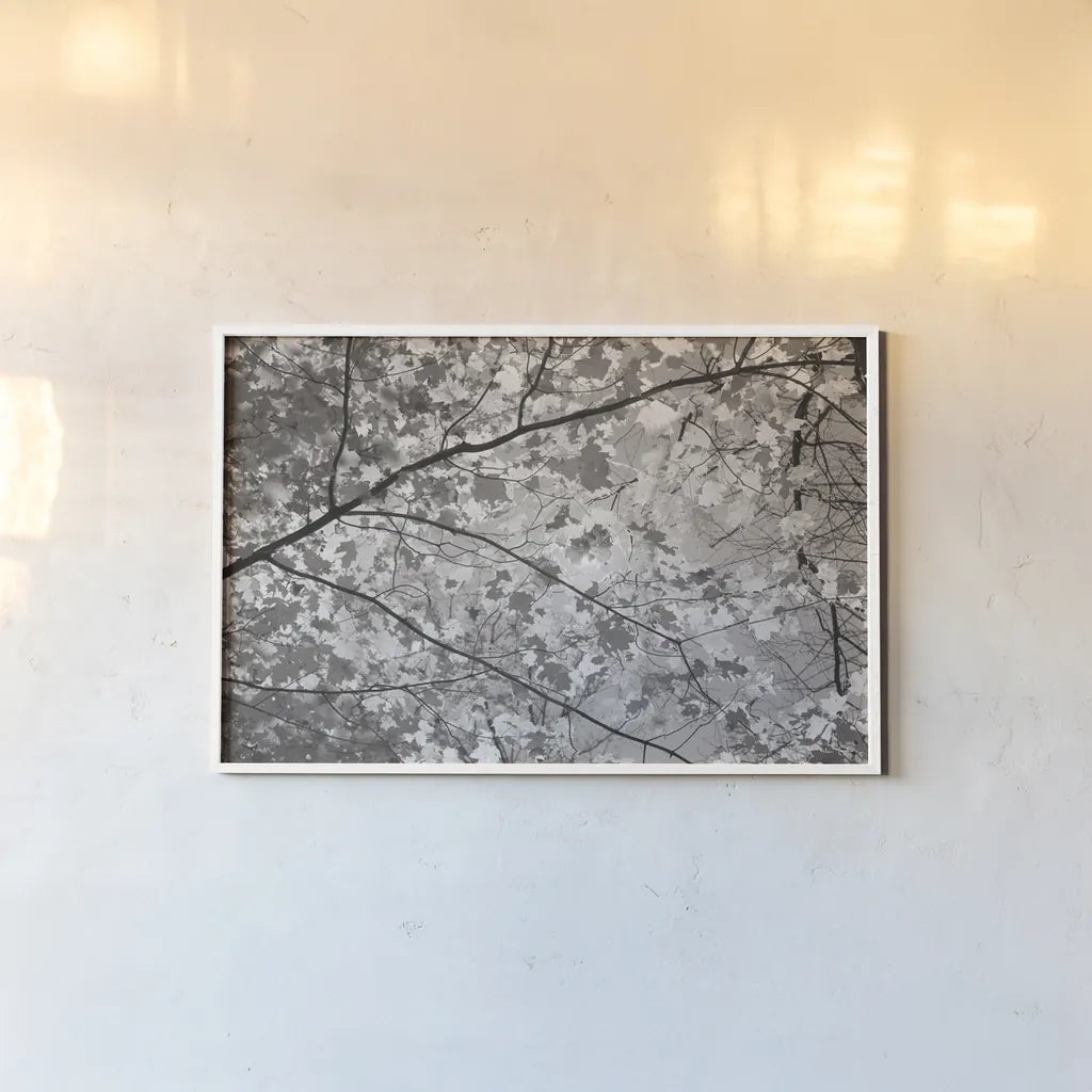 Foliage II by Alan Majchrowicz. shown as a paper print in a white frame. Available as a archival giclee rolled canvas, fine art paper, or poster print. SKU 43769i.