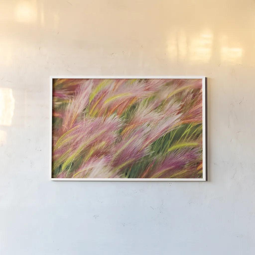 Foxtail Barley I by Alan Majchrowicz. shown as a paper print in a white frame. Available as a archival giclee rolled canvas, fine art paper, or poster print. SKU 52312i.
