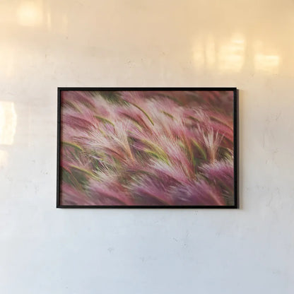 Foxtail Barley II by Alan Majchrowicz. shown as a paper print in a black flame. Available as a archival giclee rolled canvas, fine art paper, or poster print. SKU 52313i.