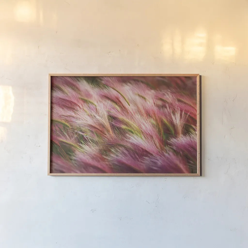 Foxtail Barley II by Alan Majchrowicz. shown as a paper print in a natural frame. Available as a archival giclee rolled canvas, fine art paper, or poster print. SKU 52313i.