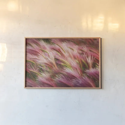 Foxtail Barley II by Alan Majchrowicz. shown as a paper print in a natural frame. Available as a archival giclee rolled canvas, fine art paper, or poster print. SKU 52313i.