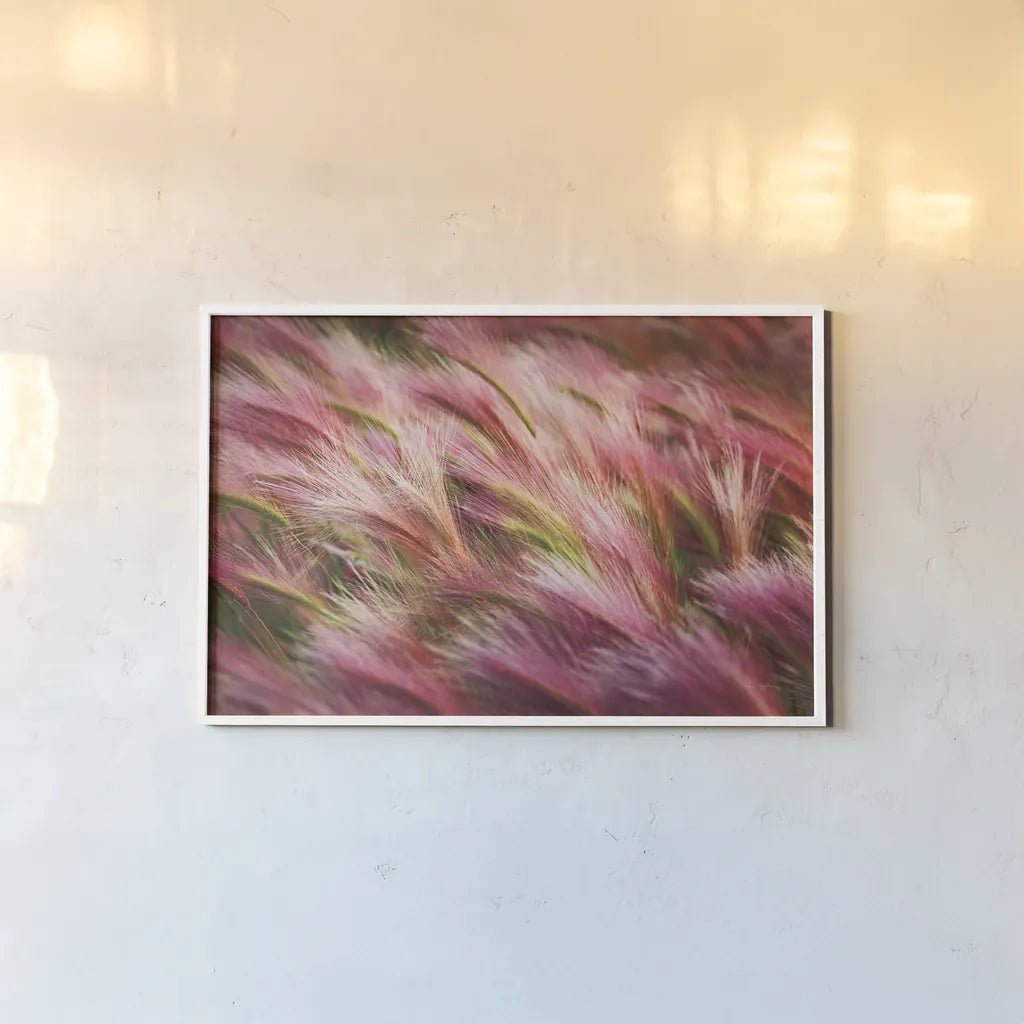 Foxtail Barley II by Alan Majchrowicz. shown as a paper print in a white frame. Available as a archival giclee rolled canvas, fine art paper, or poster print. SKU 52313i.