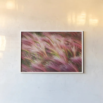 Foxtail Barley II by Alan Majchrowicz. shown as a paper print in a white frame. Available as a archival giclee rolled canvas, fine art paper, or poster print. SKU 52313i.