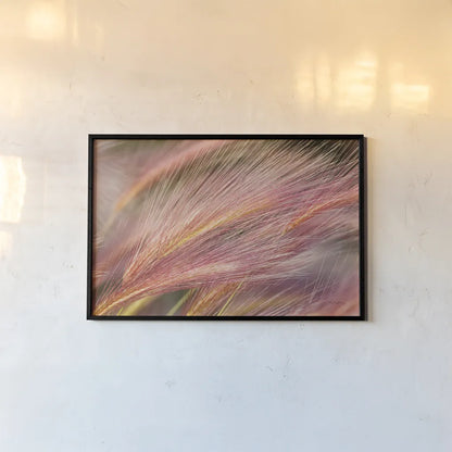 Foxtail Barley III by Alan Majchrowicz. shown as a paper print in a black flame. Available as a archival giclee rolled canvas, fine art paper, or poster print. SKU 52314i.