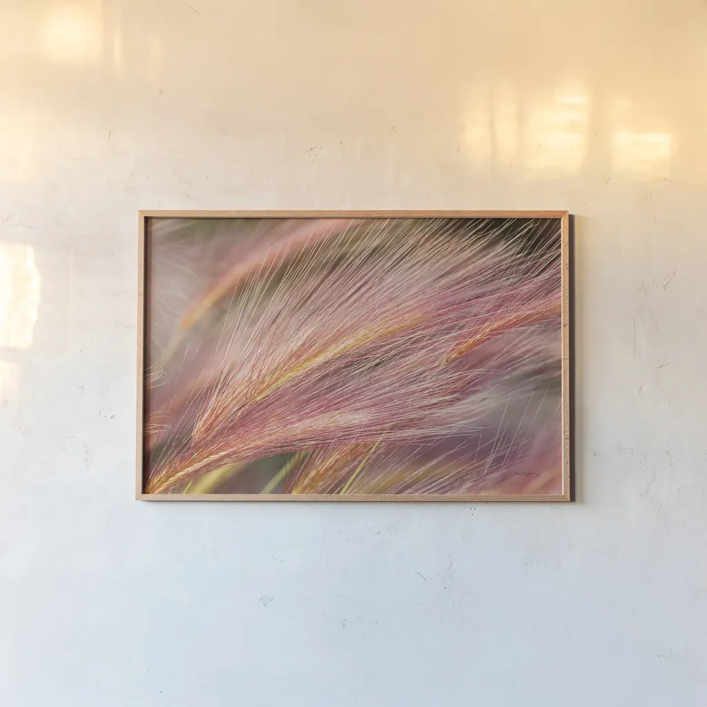 Foxtail Barley III by Alan Majchrowicz. shown as a paper print in a natural frame. Available as a archival giclee rolled canvas, fine art paper, or poster print. SKU 52314i.