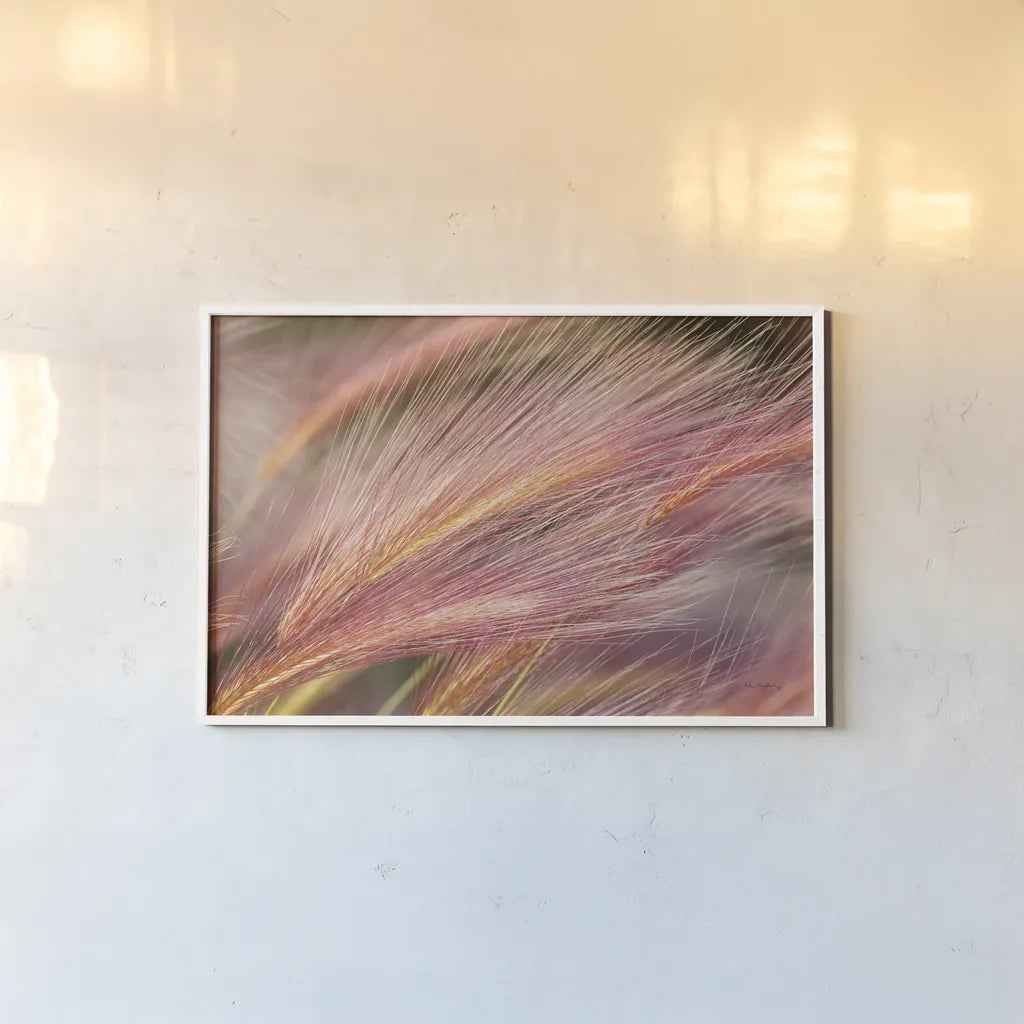 Foxtail Barley III by Alan Majchrowicz. shown as a paper print in a white frame. Available as a archival giclee rolled canvas, fine art paper, or poster print. SKU 52314i.
