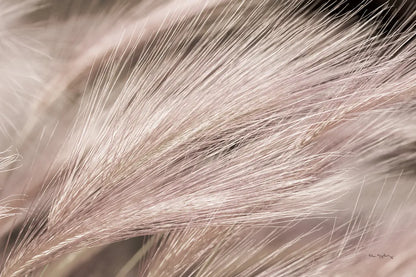 Foxtail Barley III Light by Alan Majchrowicz. SKU 52857i. Archival Giclee Fine art print for wall decor.