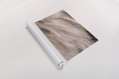 Foxtail Barley III Light by Alan Majchrowicz. shown as a rolled paper print. Available as archival giclee rolled canvas, fine art paper, or poster print. SKU 52857i.