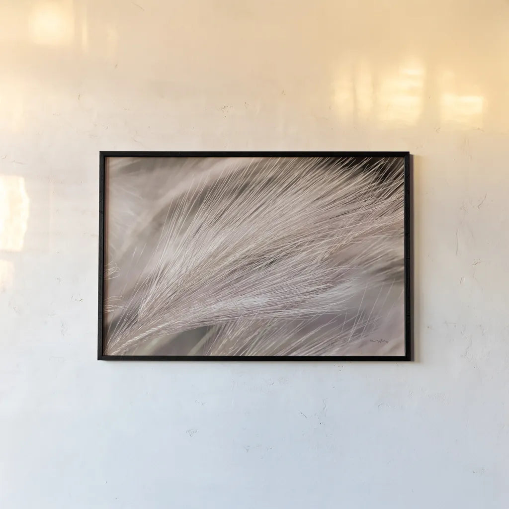Foxtail Barley III Light by Alan Majchrowicz. shown as a paper print in a black flame. Available as a archival giclee rolled canvas, fine art paper, or poster print. SKU 52857i.